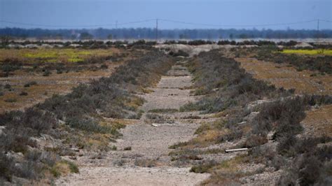 España aprueba ayudas por sequía para agricultores y obras urgentes de abastecimiento de agua para combatir la sequía